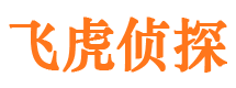 道县外遇调查取证